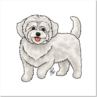 Dog - Maltipoo - White Posters and Art